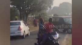 Two crop raider elephants chase motorists before being forced back into the jungle