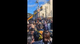 Hoards of Chinese tourists spark chaos as they converge on level crossing in Japan