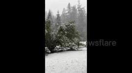 Canada: Heavy snowfall hits Sechelt