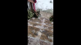 Husband Smashes Head Through Ice Window