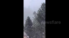 Pakistan: Heavy showfall in Malam Jabba