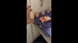 This Egg Contains a Surprise
