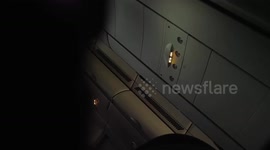 Suspected thief caught rummaging through overhead compartments on plane