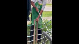 Shopkeeper uses chair and stick to fish out kitten from canal