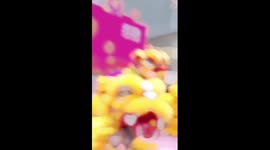 Robot dogs join lion dance for Chinese New Year