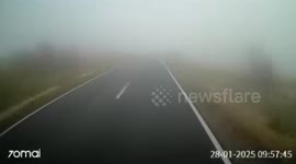 Head-on crash as car overtakes lorry in dense fog