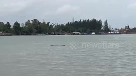 Schoolgirl, 8, missing after crocodile snatches her from riverbank in Indonesia