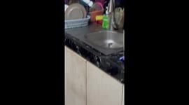 Squeaky clean! Mouse seen showering in family's kitchen sink
