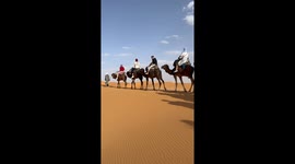Epic Sahara Adventure: Camel Rides, Sandboarding & a Stunning Sunset