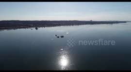 US: Drone Footage Reveals Wreckage After Deadly Mid-Air Collision Over Washington