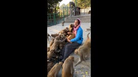 Joyful Monkey Feeding