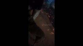 Palisades Fire Woman and Dog Rescue