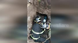 Firemen rescue dog stranded in drainage tunnel in Italy