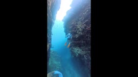 Free diver crashes into corals while floating back to surface