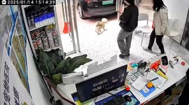 Stunning moment dog walks itself to vet for treatment without its owner