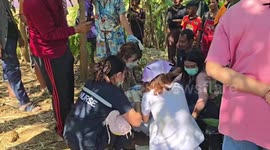 Newborn baby boy dumped in banana plantation is rescued by kind locals