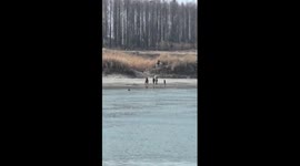 Horse rider helps save man from freezing water