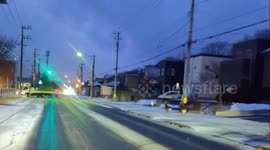 Japan: Deer Slips And Falls On Snowy Road Amid Severe Cold Wave In Hokkaido