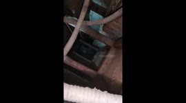 Kitten rescued from narrow shaft and nursed back to health
