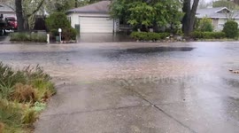 US: Stormy Weather Brings Heavy Rain And Strong Winds To Bay Area 2