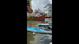 Pet Chihuahua rides paddleboard along river
