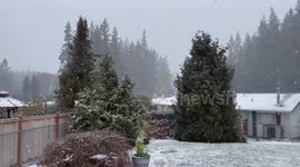 US: Snow Showers Hit Western Washington