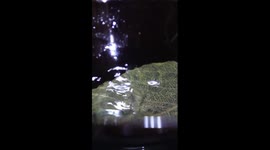 Charm of leaf cup in China's Ji'an