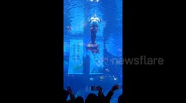 Tourists delighted by male mermaid's performance at Chinese aquarium
