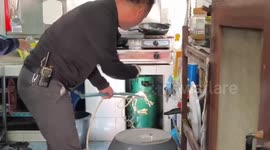 Huge wild monitor lizard caught in family's kitchen