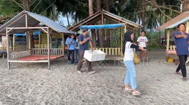 Seventy turtle hatchlings released into wild by conservationists in Indonesia