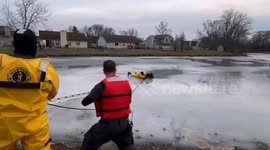 Firemen rescue German Shepherd from frozen lake in Indianapolis