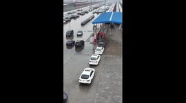 China's Chongqing exports 477,000 complete vehicles in 2024