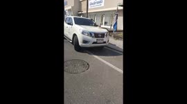 Huge python found slithering across pickup truck