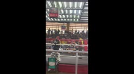 Boxer accidentally punches the referee during chaotic brawl
