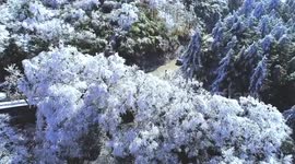 Rime ice scenery on mountain in China's Yongzhou