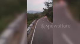 India: Foreign tourist on bike gets fatally attacked by wild elephant