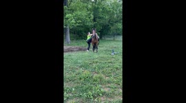 Wild Mustang Unexpectedly Runs Off