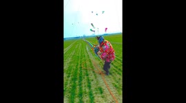 Chinese woman launches massive dragon kite