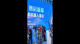 Newly-developed humanoid robots show skills in China's Hubei