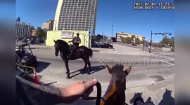 Reined in! Police horse runs through traffic to chase 'drug dealer'
