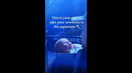 Fish fascinate newborn on his first ever visit to the aquarium