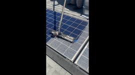 Solar panels get spotless finish with expert brushing in this satisfying cleaning video