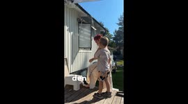 Elder sister’s zipline fun turns into a sudden fall midway through the ride