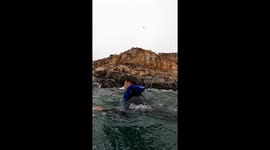 Boy swims side-by-side with a playful sea lion in clear waters of Peru