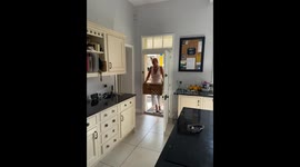 Loving Golden Retriever welcomes new puppy home with heartfelt excitement