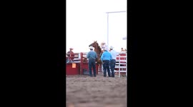 Cowboy faces tough challenge of subduing steer in stunning rodeo performance