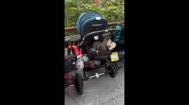 Theft at Walt Disney World!