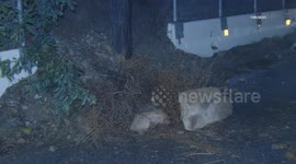 US, Los Angeles: El Sereno Rock Slide Blocks Lane Of Traffic