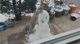 Squirrel Makes Snowman