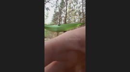 Crazy Camping Activities